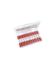 Kit  Morelli Sistema M.B.T. c/ Gan.Can.- Slot.022"