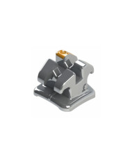 Morelli M.B.T. Light - P/Inc.Lat.Sup/Dir .022" Morelli M.B.T. Light - P/Inc.Lat.Sup/Dir .022"