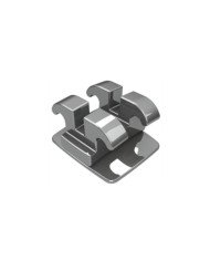 Edgewise Slim -  P/ Inc.Cent.Lat. Inf/Dir/Esq-.022 Edgewise Slim -  P/ Inc.Cent.Lat. Inf/Dir/Esq-.022