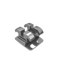 Edgewise/Ricketts Slim-Inc.Cent.Lat.Inf/Dir/Esq018 Edgewise/Ricketts Slim-Inc.Cent.Lat.Inf/Dir/Esq018