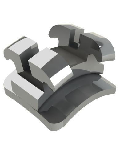 Braq. - Curvo Can.(1º 2°Pré-Mol.Sup Inf/Dir Esq) Braq. - Curvo Can.(1º 2°Pré-Mol.Sup Inf/Dir Esq)