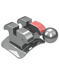 Ricketts Actual-2°Premolar c/Gan.SD/IE Slot.018