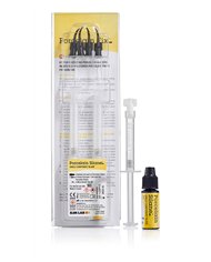 Porcelain Silane - Silane 2x 2ml 4 tips