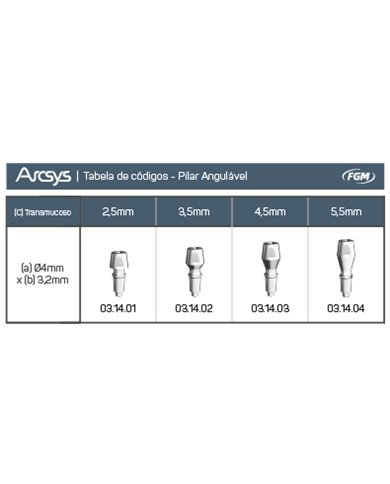 Pilar Angulável Arcsys D2,5mm Pilar Angulável Arcsys D2,5mm