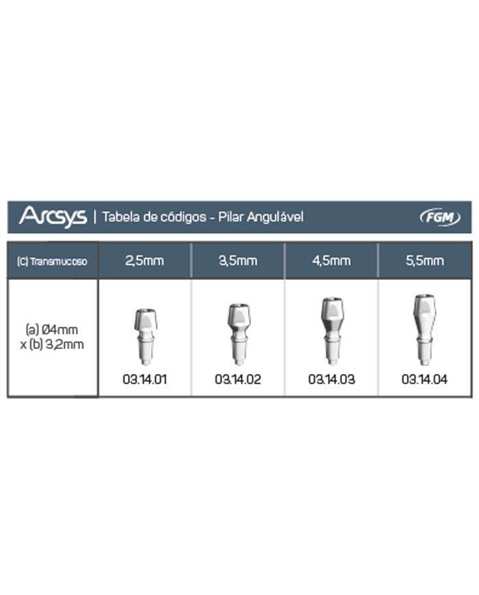 Pilar Angulável Arcsys D2,5mm Pilar Angulável Arcsys D2,5mm