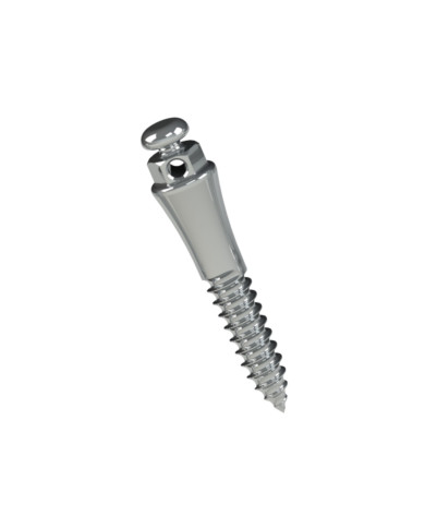 Mini implante Extra-radicular em Aço Cabeça de Botão Comprimento 7mm Transmucoso 4mm Ø2mm 1un