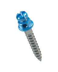 Mini implante Orto Cab.braq.Horario Comp.6mm Trans.1mm Ø1.5mm 1un