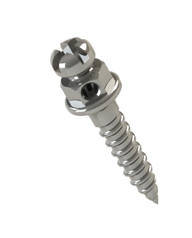 Mini implante Orto Cab.braq.Horario Comp.6mm Trans.1mm Ø1.5mm 1un