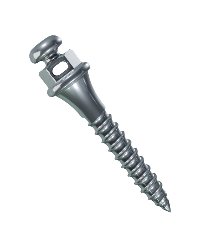 Mini implante Orto Furo ,21x,25 Comp.8mm Trans.2mm Ø1.5mm 2un